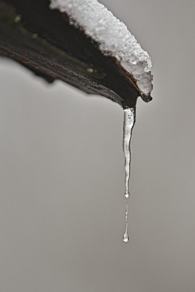 winter, snow, ice cream